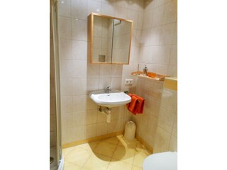 Appartamento per vacanze Ramsau im Zillertal Caratteristiche 22