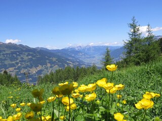 Hiking Area Gerlosstein/Hainzenberg