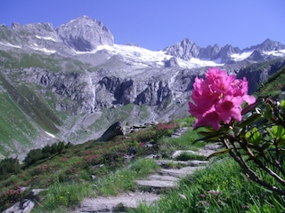 Wanderung Edelhütte/Ahorn