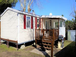 Chalet Mobilheim Saint Jean nahe Demoiselles Strand - Saint-Jean-de-Monts - image1