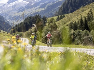Appartamento per vacanze Zell am Ziller Registrazione all'aperto 13