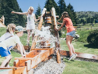 Appartamento per vacanze Zell am Ziller Ambiente 38