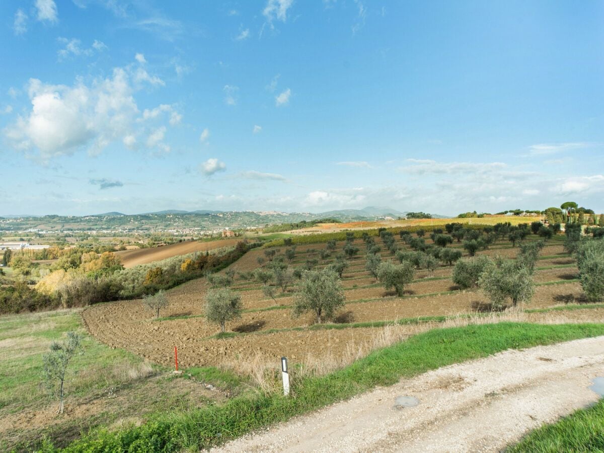 Ferienhaus Castelli Romani Umgebung 39