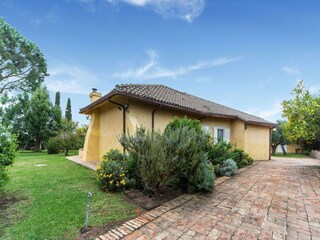 Ferienhaus Castelli Romani Außenaufnahme 4