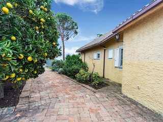 Holiday house Castelli Romani Outdoor Recording 5