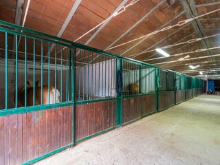 Apartamento Orvieto & Umgebung  36