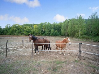Appartement Orvieto & Umgebung  38