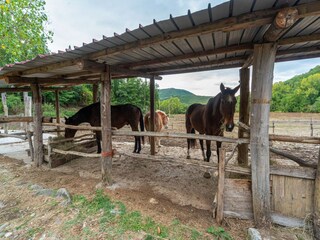 Appartamento Orvieto & Umgebung  34