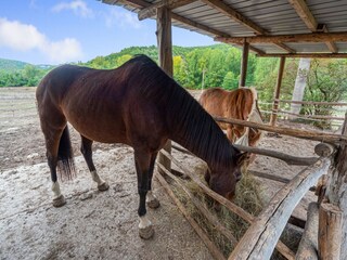 Appartement Orvieto & Umgebung  35
