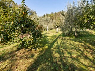 Holiday house Monsagrati Environment 26