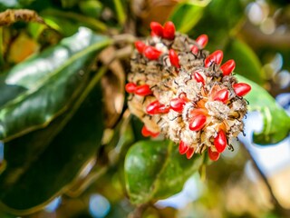 Vakantiehuis Agnone Bagni  25