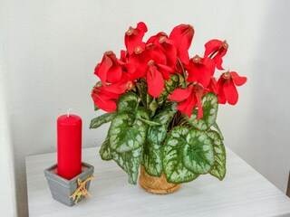 Apartamento Valtournenche  36