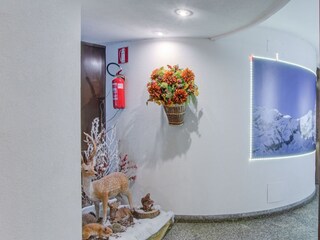 Appartement Valtournenche Équipement 25