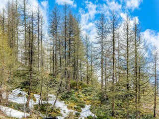 Appartamento Valtournenche Ambiente 31