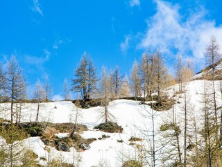 Apartment Valtournenche Umgebung 30