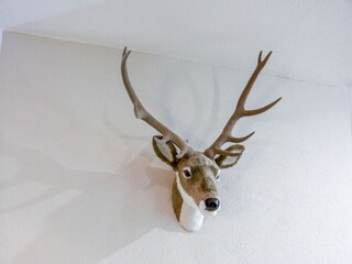 Apartment Valtournenche  36
