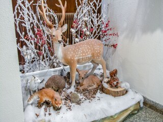 Appartement Valtournenche  33