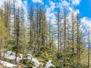 Apartment Valtournenche Environment 31