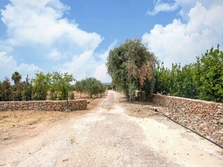 Villa Solarino Environment 31