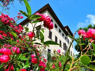 Villa San Donato in Collina Grabación al aire libre 7