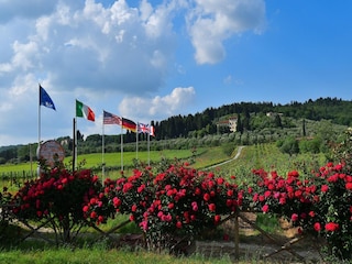 Villa San Donato in Collina Grabación al aire libre 9