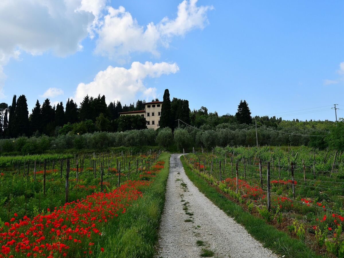 Villa San Donato in Collina Außenaufnahme 4