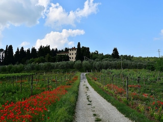 Villa San Donato in Collina Grabación al aire libre 10