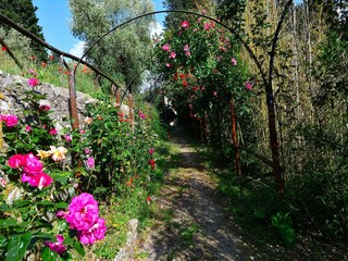 Villa San Donato in Collina Grabación al aire libre 13