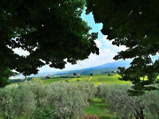 Villa San Donato in Collina Grabación al aire libre 2