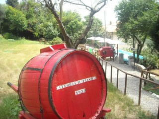 Villa San Donato in Collina Grabación al aire libre 13