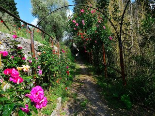 Villa San Donato in Collina Outdoor Recording 13