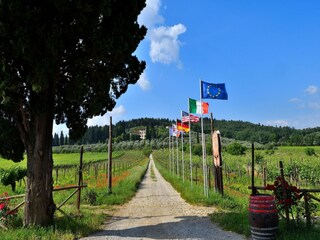 Villa San Donato in Collina Grabación al aire libre 11