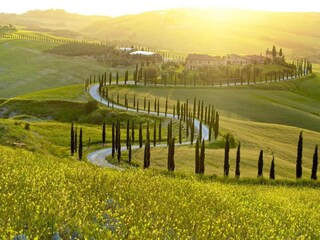 Villa San Donato in Collina Environnement 38