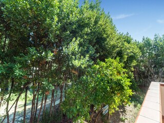 Apartment Vasto Außenaufnahme 6