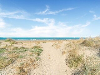 Apartment Vasto Environment 29