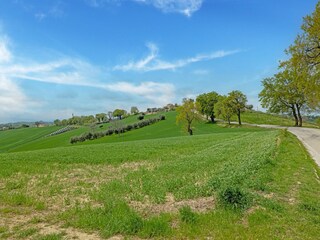 Maison de vacances Montefano Environnement 35