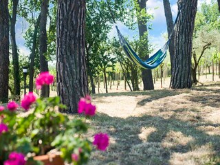 Casa per le vacanze Pesaro Registrazione all'aperto 7
