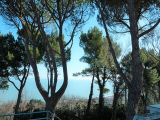 Vakantiehuis Pesaro Buitenaudio-opname 16
