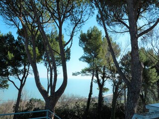 Holiday house Pesaro Outdoor Recording 17