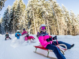 Casa per le vacanze Fügen Ambiente 36