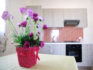 Casa per le vacanze Favignana Caratteristiche 16