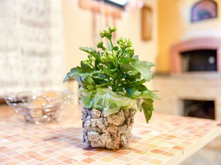 Apartamento Bacu Abis  39