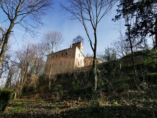 Schloss Robella Außenaufnahme 9