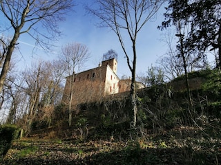 Schloss Robella Außenaufnahme 4