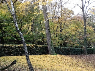 Schloss Robella Außenaufnahme 7