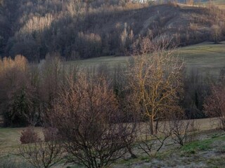 Castle Robella Environment 33