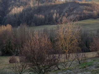 Schloss Robella Umgebung 29