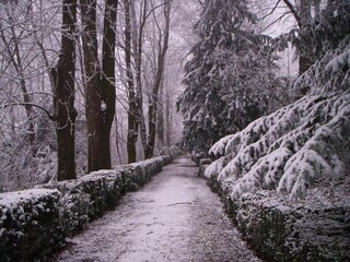 Kasteel Robella Omgeving 31