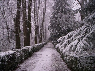 Castillo Robella Entorno 37
