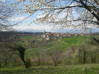 Castillo Robella Entorno 38